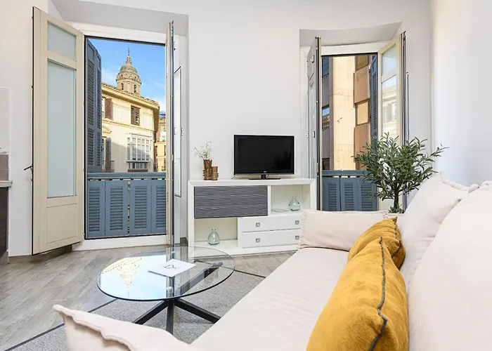 Calle Larios Apartmán